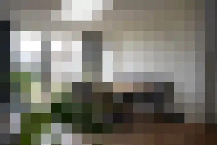 Jacob van Ruysdaelstraat 16 Schoondijke thumbnail 12