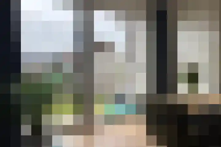 Jacob van Ruysdaelstraat 16 Schoondijke thumbnail 13