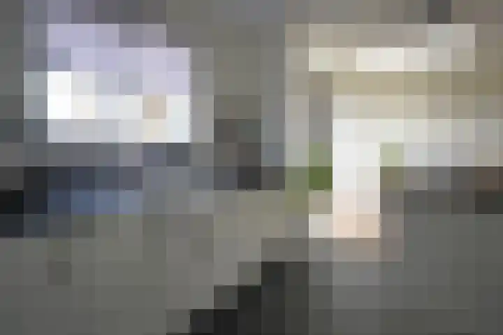 Jacob van Ruysdaelstraat 16 Schoondijke thumbnail 16