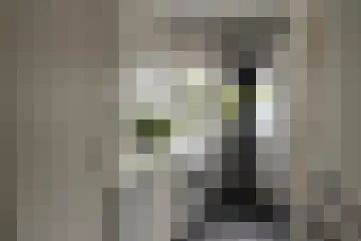 Jacob van Ruysdaelstraat 16 Schoondijke thumbnail 17