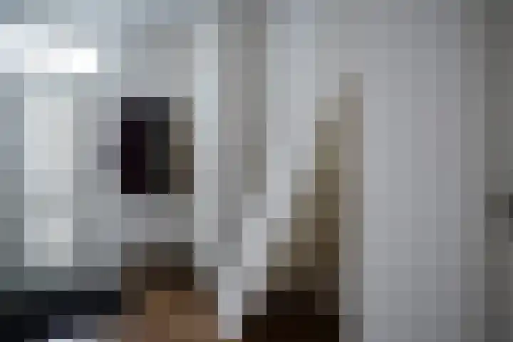 Jacob van Ruysdaelstraat 16 Schoondijke thumbnail 18