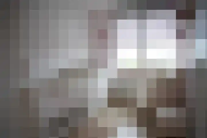 Jacob van Ruysdaelstraat 16 Schoondijke thumbnail 22