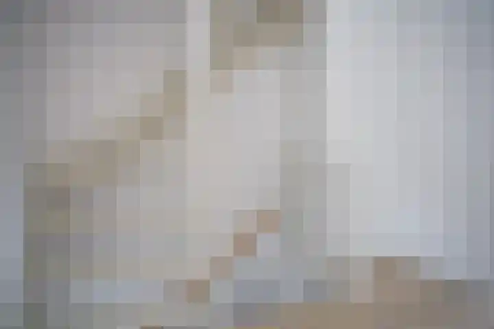 Jacob van Ruysdaelstraat 16 Schoondijke thumbnail 27