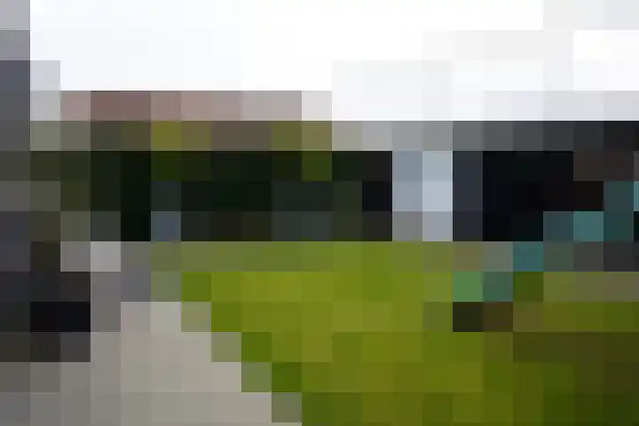 Jacob van Ruysdaelstraat 16 Schoondijke thumbnail 33