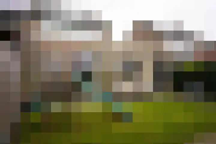 Jacob van Ruysdaelstraat 16 Schoondijke thumbnail 38