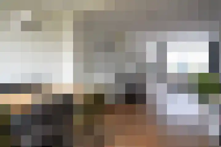 Jacob van Ruysdaelstraat 16 Schoondijke thumbnail 4