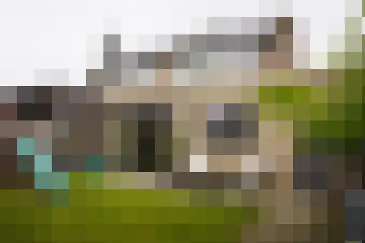 Jacob van Ruysdaelstraat 16 Schoondijke thumbnail 40