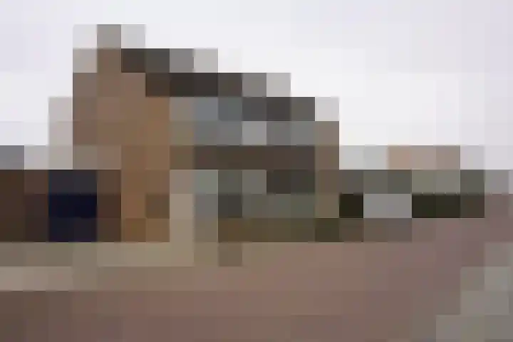 Jacob van Ruysdaelstraat 16 Schoondijke thumbnail 42