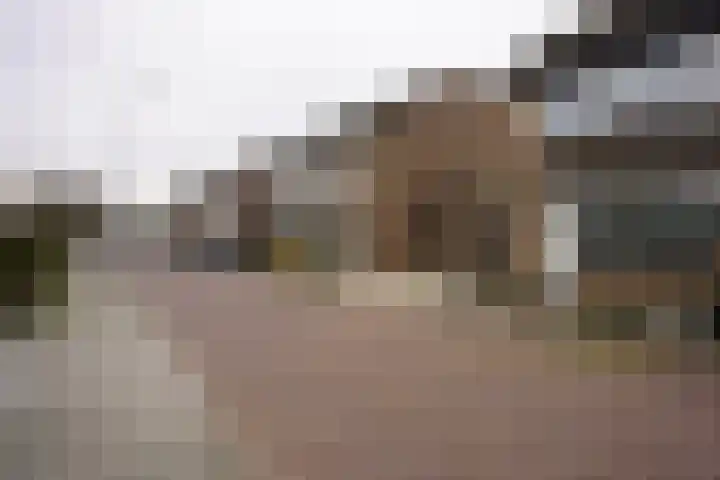 Jacob van Ruysdaelstraat 16 Schoondijke thumbnail 43