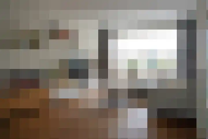 Jacob van Ruysdaelstraat 16 Schoondijke thumbnail 5