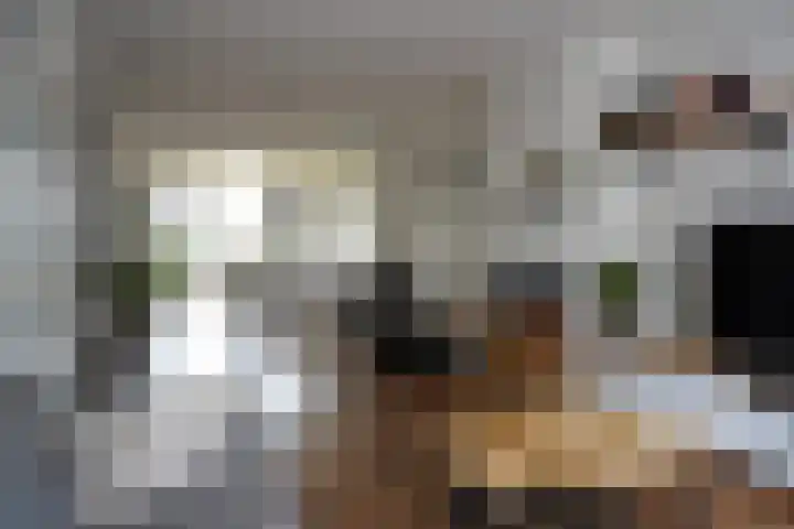 Jacob van Ruysdaelstraat 16 Schoondijke thumbnail 6