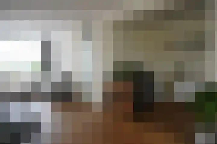 Jacob van Ruysdaelstraat 16 Schoondijke thumbnail 8