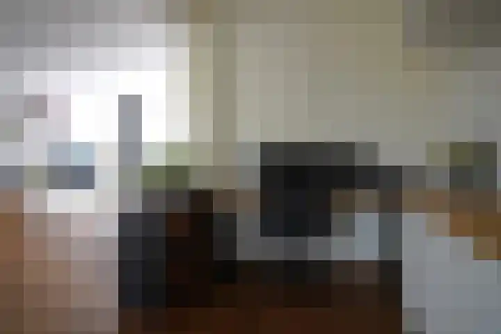 Jacob van Ruysdaelstraat 16 Schoondijke thumbnail 9