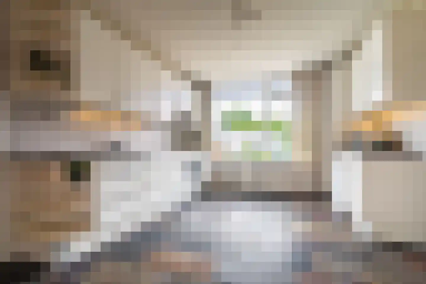 Jacob van Ruysdaelstraat 17 Hoogezand thumbnail 16