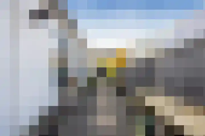 Jacob van Ruysdaelstraat 2 Nederhorst den Berg thumbnail 37