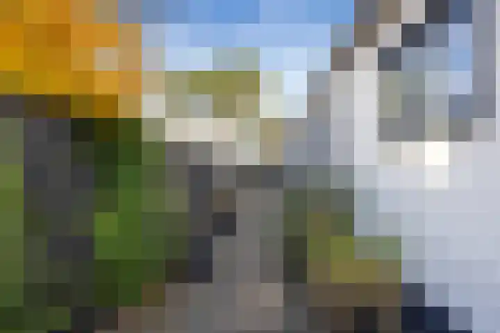Jacob van Ruysdaelstraat 2 Nederhorst den Berg thumbnail 38