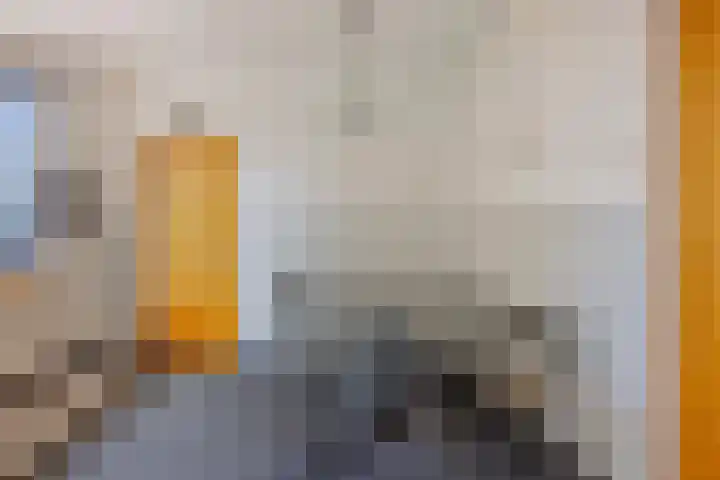 Jacob van Ruysdaelstraat 22 Boxmeer thumbnail 13