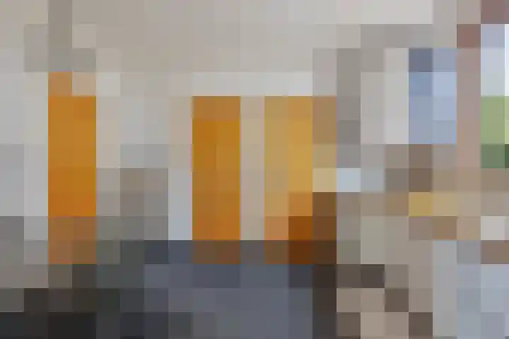 Jacob van Ruysdaelstraat 22 Boxmeer thumbnail 14