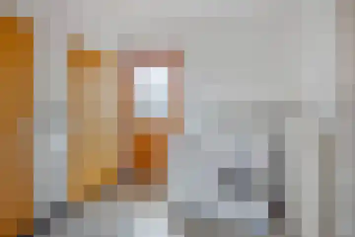 Jacob van Ruysdaelstraat 22 Boxmeer thumbnail 15