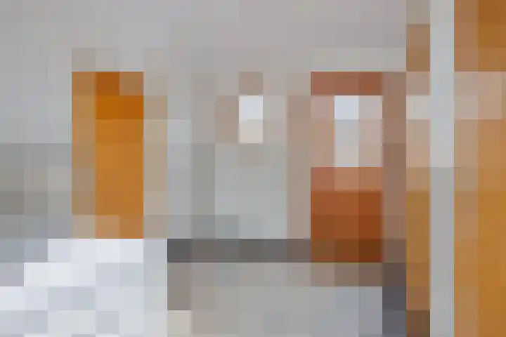 Jacob van Ruysdaelstraat 22 Boxmeer thumbnail 16