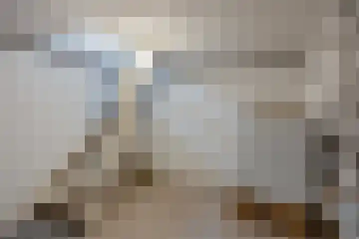 Jacob van Ruysdaelstraat 22 Boxmeer thumbnail 17