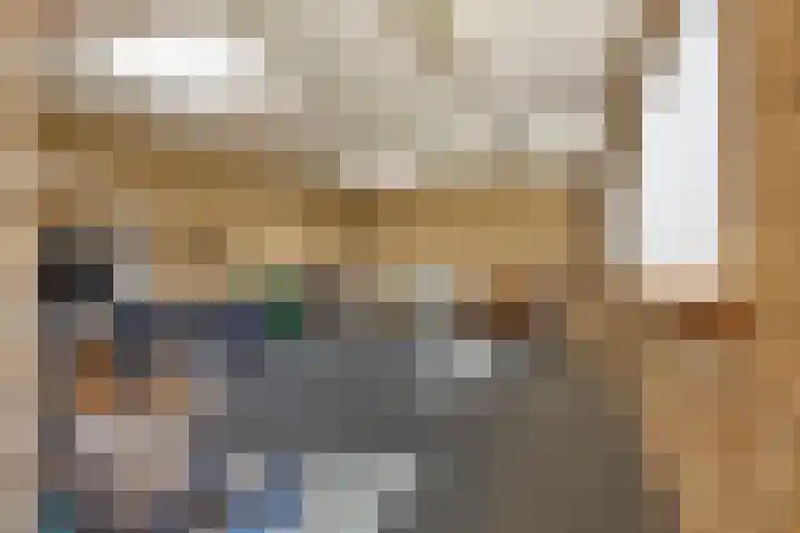 Jacob van Ruysdaelstraat 22 Boxmeer thumbnail 21