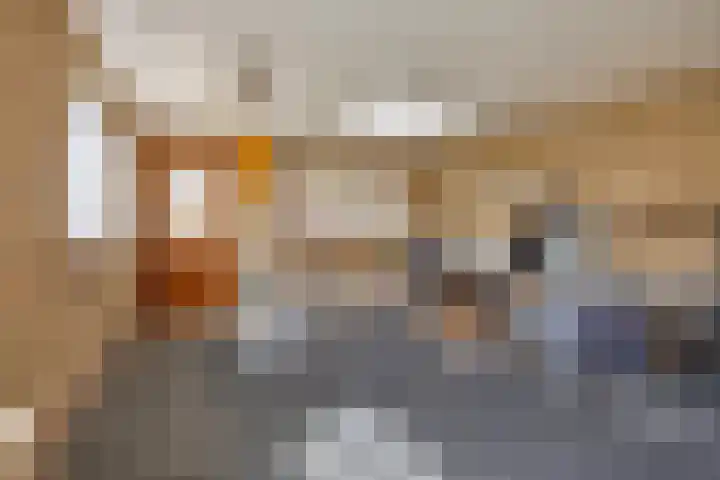 Jacob van Ruysdaelstraat 22 Boxmeer thumbnail 22