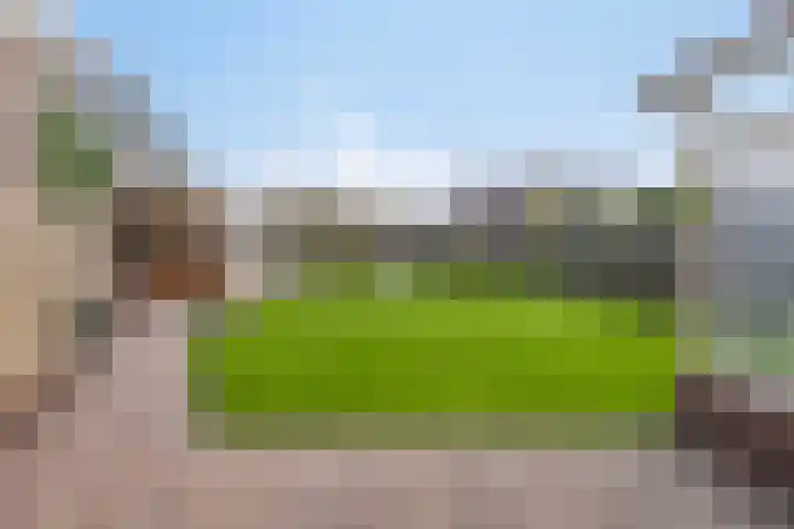 Jacob van Ruysdaelstraat 22 Boxmeer thumbnail 24