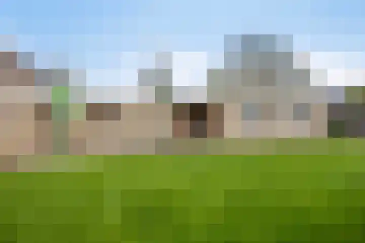 Jacob van Ruysdaelstraat 22 Boxmeer thumbnail 27