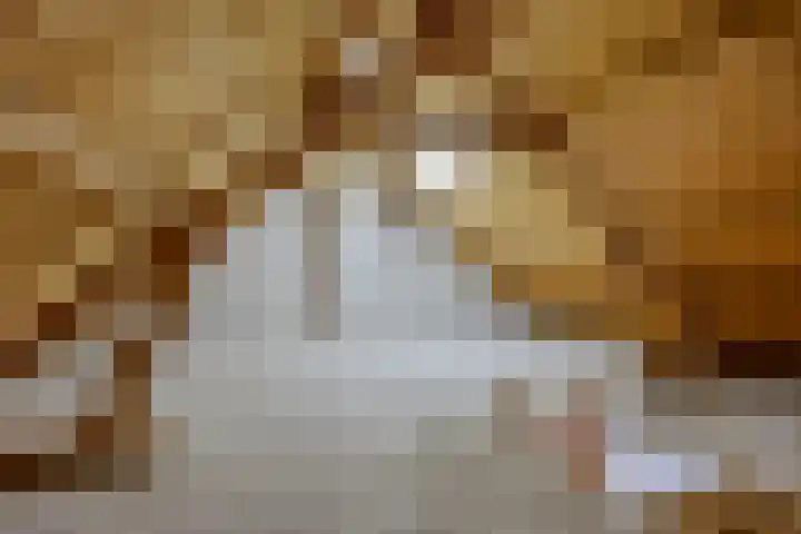 Jacob van Ruysdaelstraat 22 Boxmeer thumbnail 37