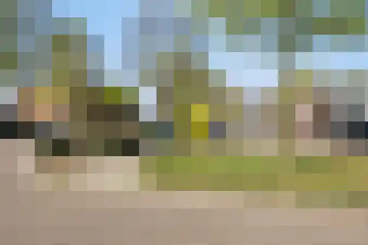 Jacob van Ruysdaelstraat 22 Boxmeer thumbnail 39