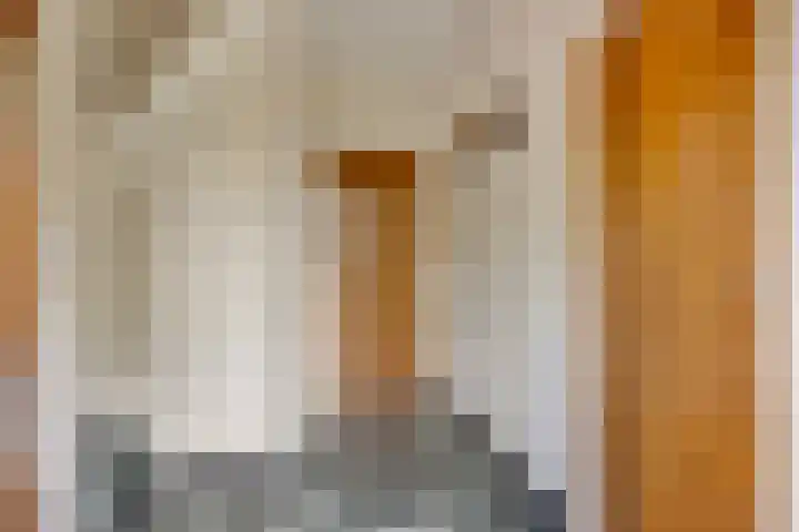 Jacob van Ruysdaelstraat 22 Boxmeer thumbnail 7