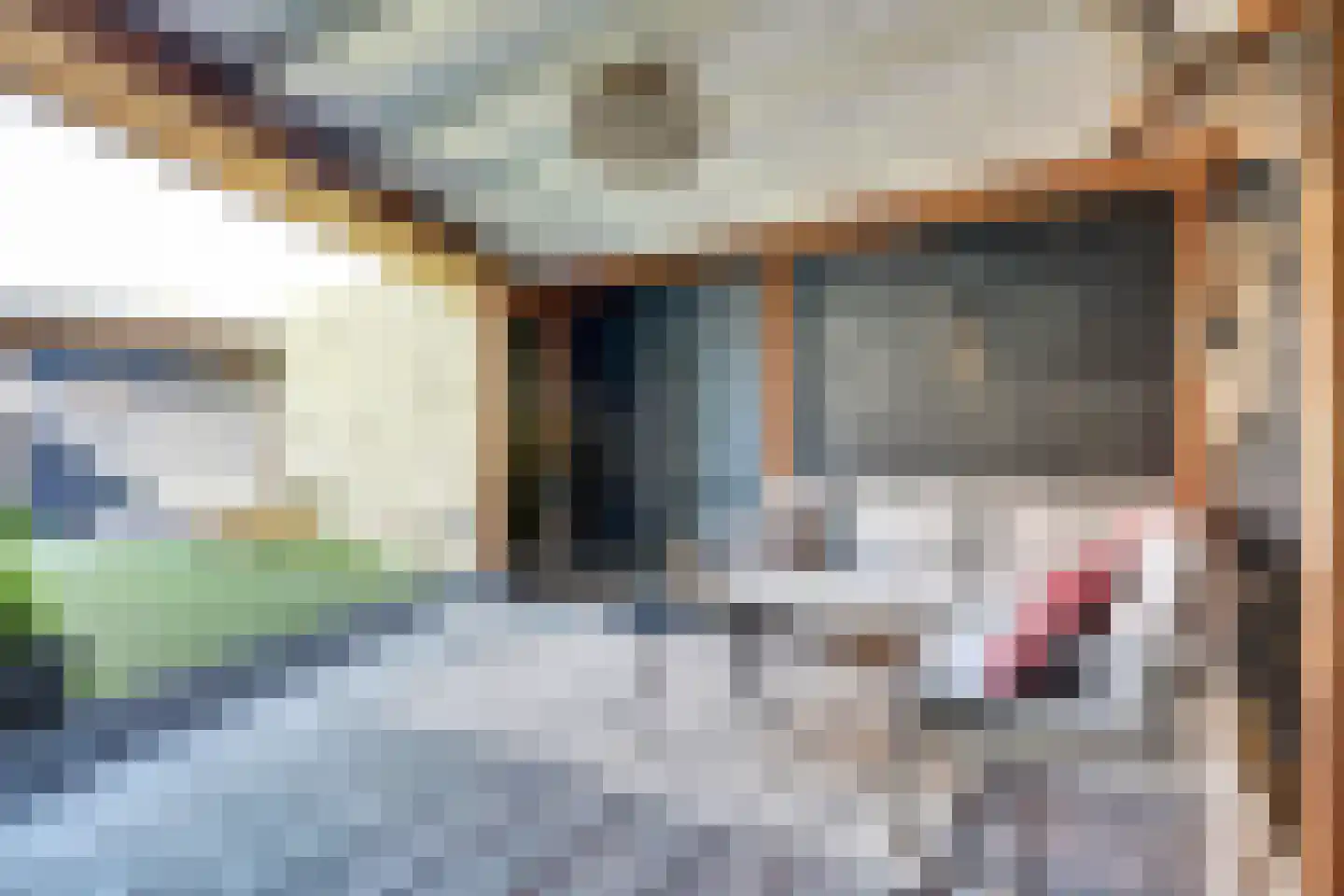 Jacob van Ruysdaelstraat 23 Haaksbergen thumbnail 34