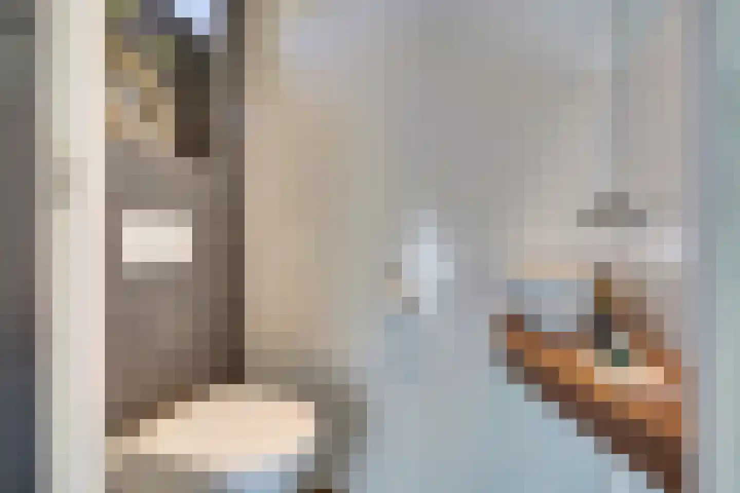 Jacob van Ruysdaelstraat 23 Haaksbergen thumbnail 6