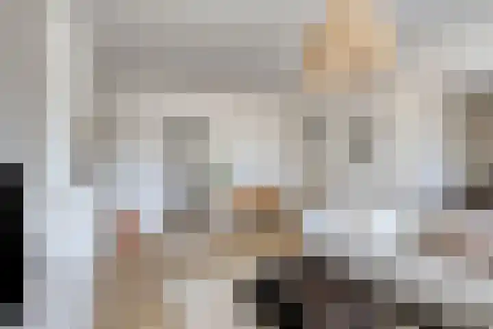 Jacob van Ruysdaelstraat 25 's-Hertogenbosch thumbnail 10