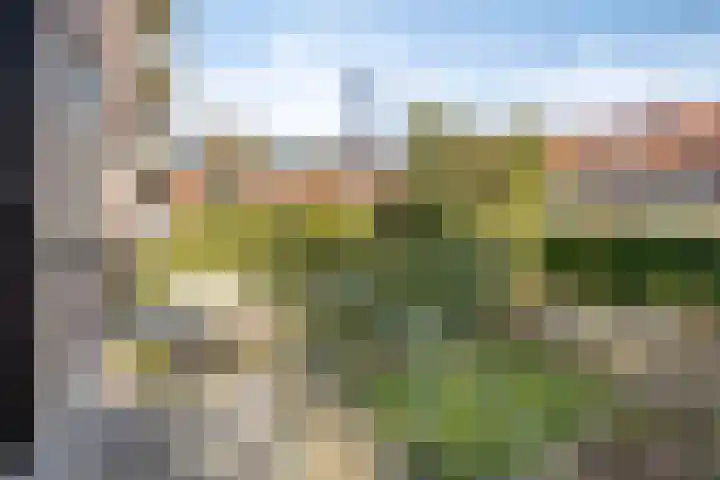 Jacob van Ruysdaelstraat 25 's-Hertogenbosch thumbnail 20