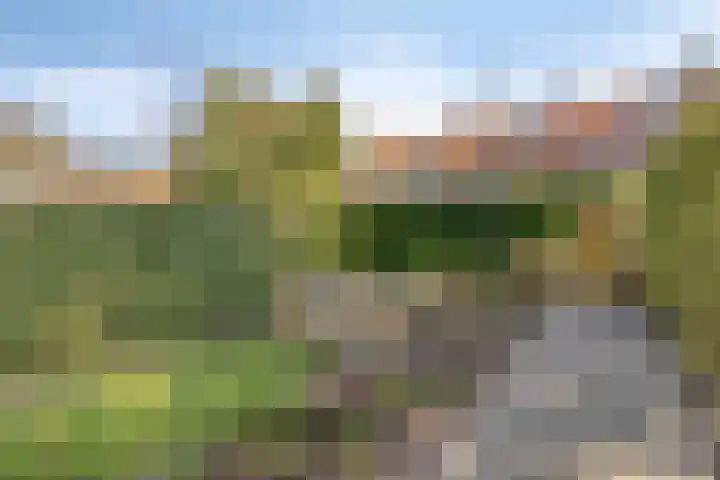 Jacob van Ruysdaelstraat 25 's-Hertogenbosch thumbnail 21