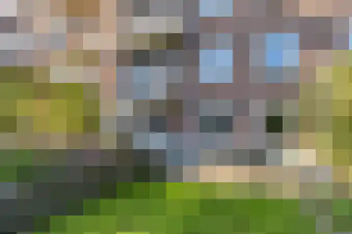 Jacob van Ruysdaelstraat 25 's-Hertogenbosch thumbnail 23