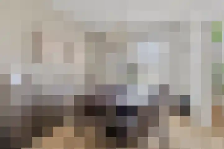Jacob van Ruysdaelstraat 25 's-Hertogenbosch thumbnail 8
