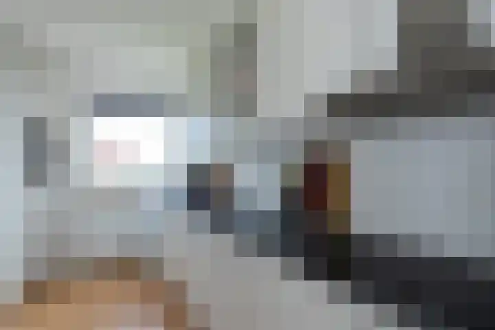 Jacob van Ruysdaelstraat 28 Papendrecht thumbnail 13