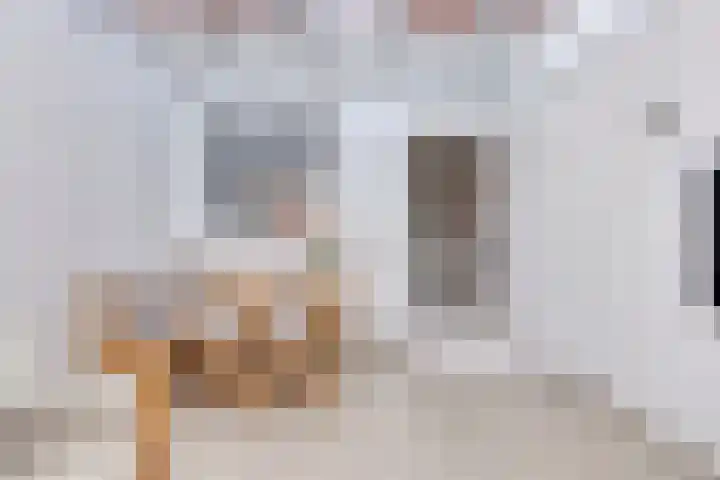 Jacob van Ruysdaelstraat 3 Hoogezand thumbnail 5