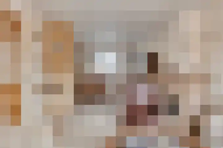 Jacob van Ruysdaelstraat 3 Hoogezand thumbnail 6