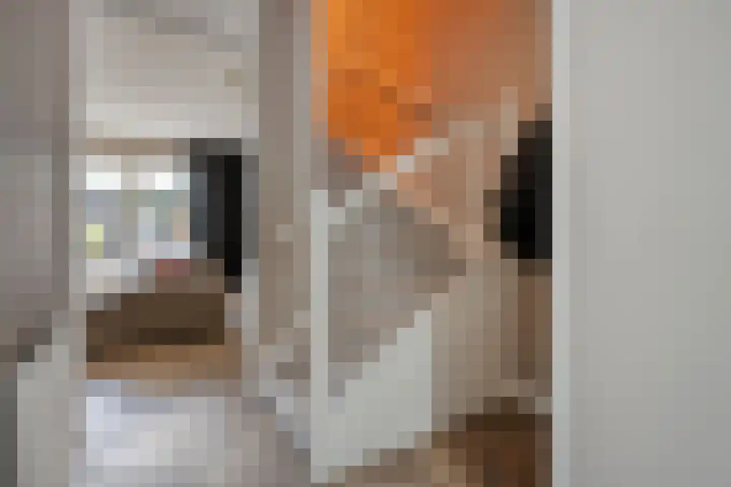 Jacob van Ruysdaelstraat 35 Enschede thumbnail 17