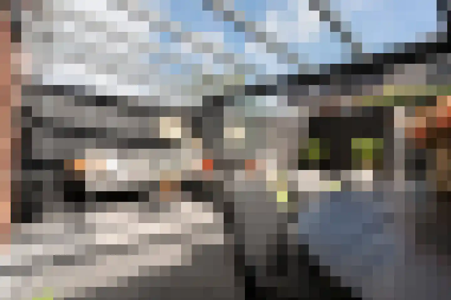 Jacob van Ruysdaelstraat 35 Enschede thumbnail 34