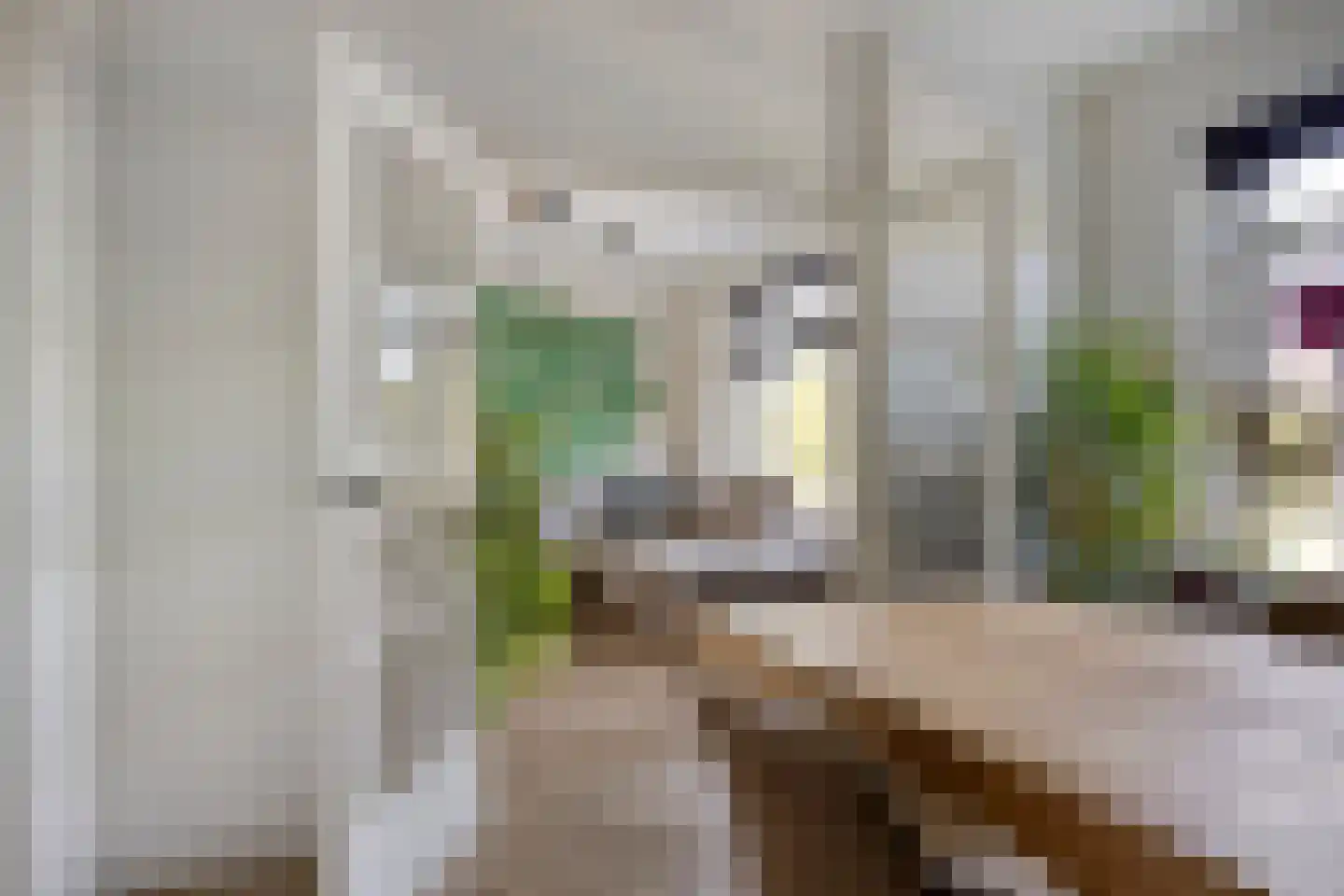 Jacob van Ruysdaelstraat 35 's-Hertogenbosch thumbnail 11