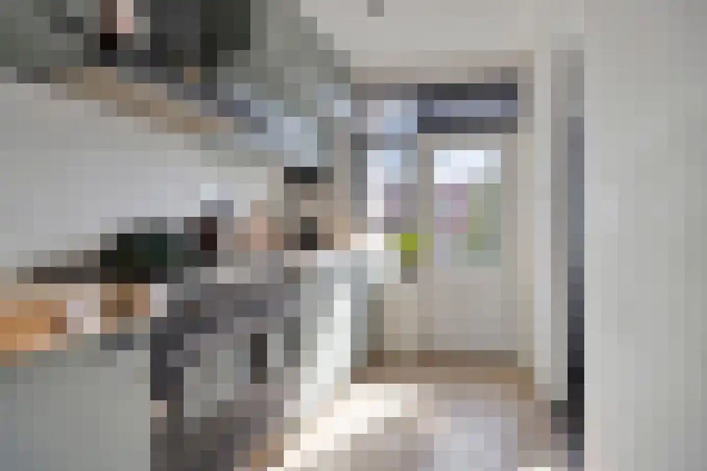 Jacob van Ruysdaelstraat 35 's-Hertogenbosch thumbnail 15