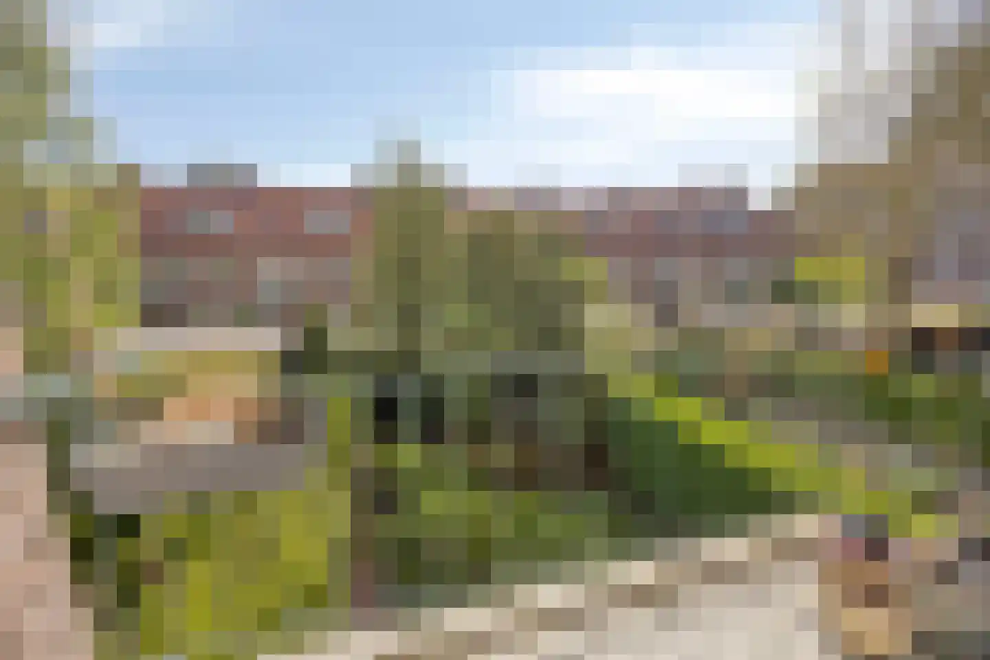 Jacob van Ruysdaelstraat 35 's-Hertogenbosch thumbnail 18