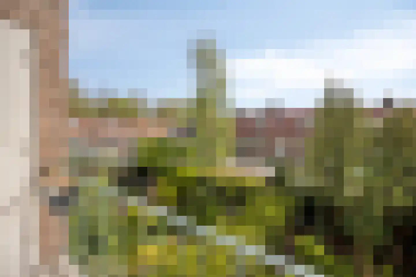 Jacob van Ruysdaelstraat 35 's-Hertogenbosch thumbnail 19