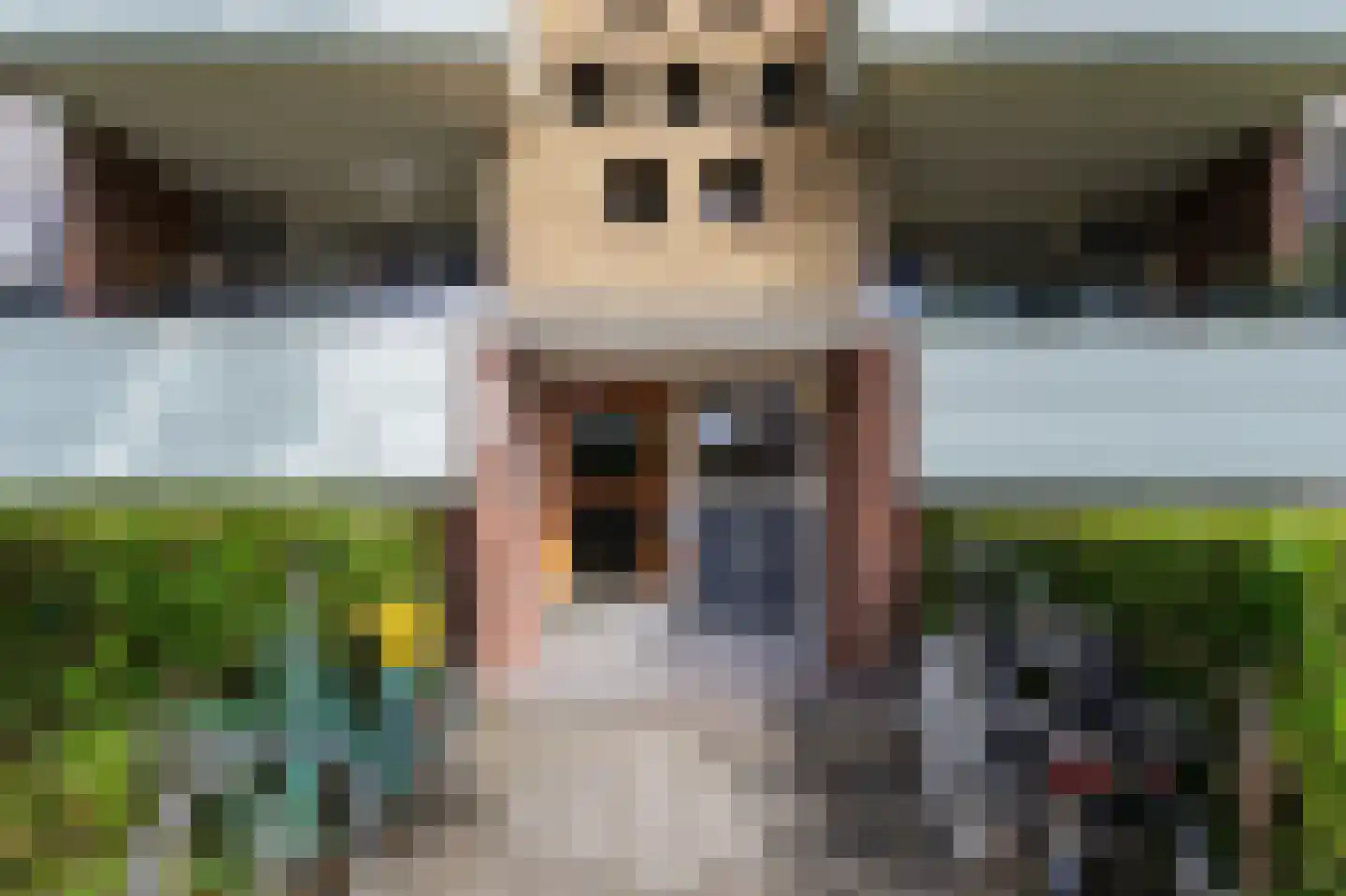 Jacob van Ruysdaelstraat 43 Groningen thumbnail 10