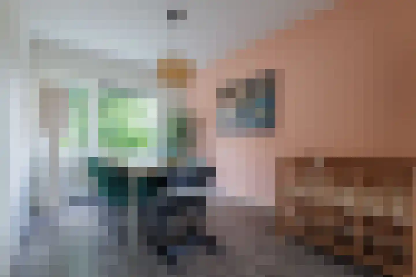 Jacob van Ruysdaelstraat 43 Groningen thumbnail 17